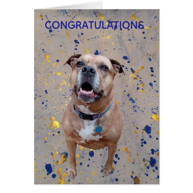 Confetti Congratulations Card (Vorne)