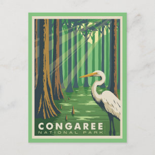 Congaree National Park SC Postkarte