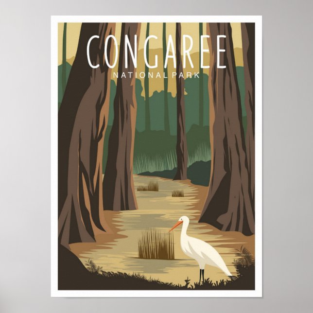 Congaree National Park South Carolina Illustration Poster (Vorne)