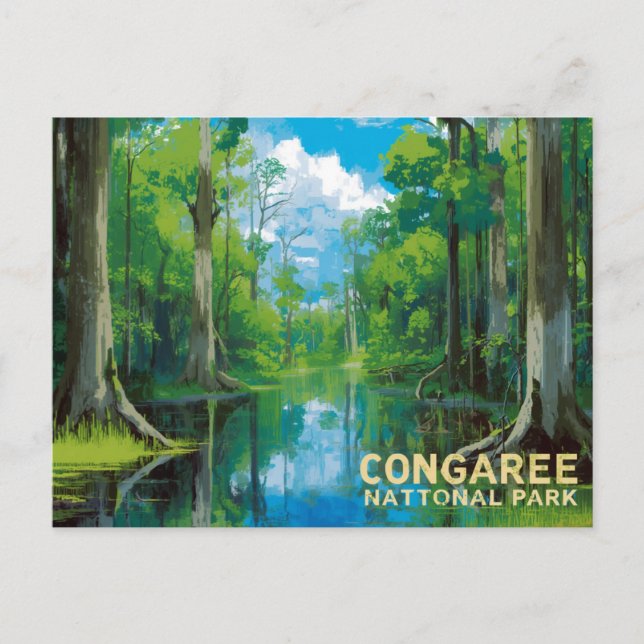 Congaree National Park Sumpf Kunst Postkarte (Vorderseite)
