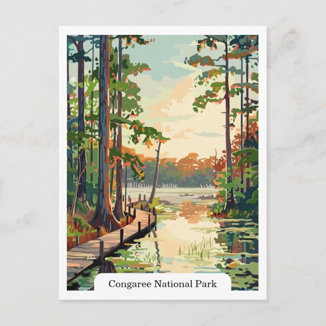 Congaree National Park USA Postcard Postkarte (Vorderseite)