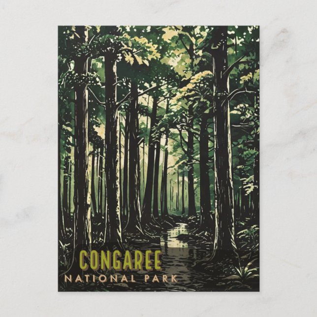 Congaree-Nationalpark Postkarte (Vorderseite)