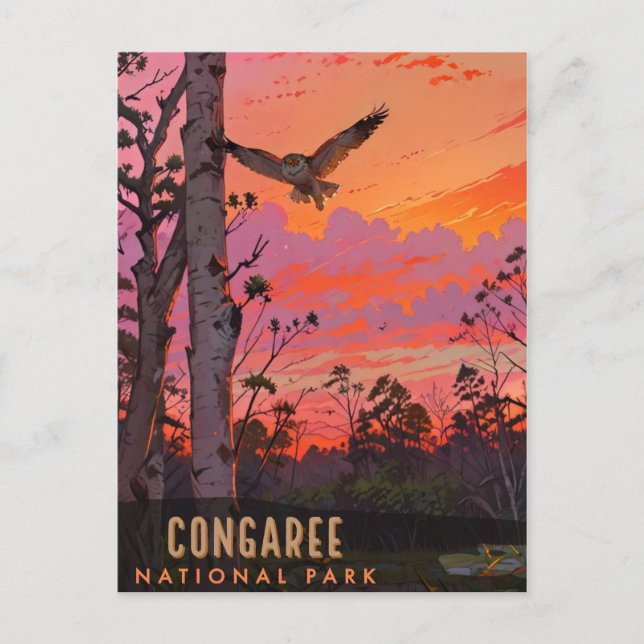 Congaree-Nationalpark Postkarte (Vorderseite)