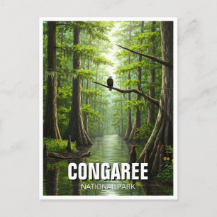 Congaree Nationalpark Süd Carolina Postkarte