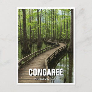 Congaree Nationalpark Süd Carolina Postkarte