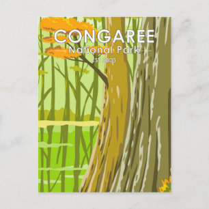 Congaree Nationalpark Süd Carolina Vintage Postkarte