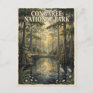 Congaree Nationalpark Sumpfwald Reise Postkarte