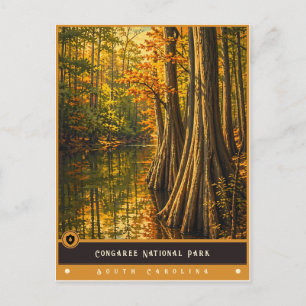 Congaree-Nationalpark Vintage Postkarte