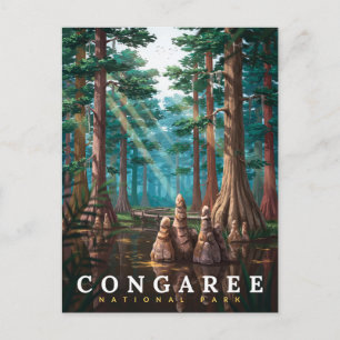 Congaree-Nationalpark Zypressenwald Postkarte