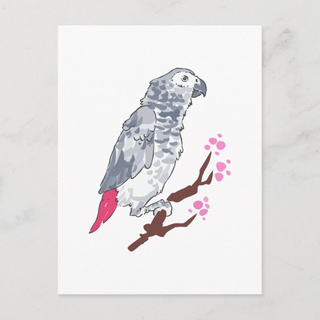 CONGO AFRICAN GRAY PARROT POSTKARTE (Vorderseite)
