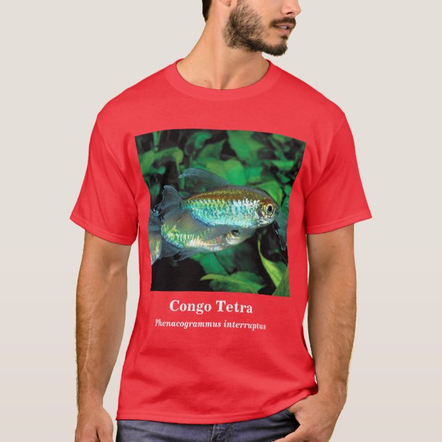 Congo tetra , Phenacogrammus interruptus T-Shirt (Vorderseite)