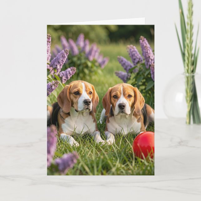 Congrats on Your New Beagles | Congratulations Karte (Vorderseite)