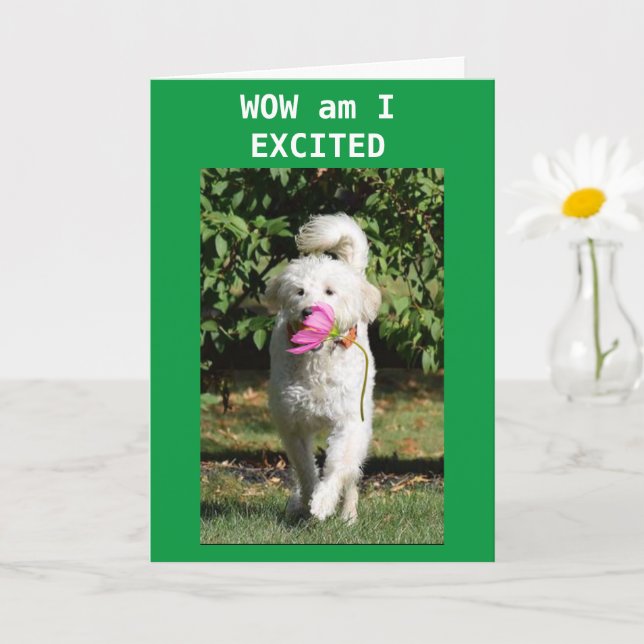 CONGRATULATIONS ON YOUR **PROMOTION** KARTE (Kleine Pflanze)