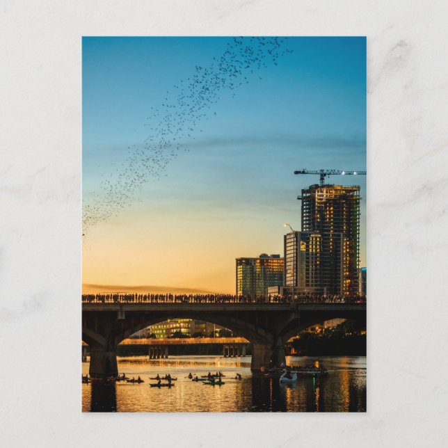 Congress Avenue Bridge Bat Watching Postkarte (Vorderseite)