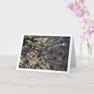 Conifer Cons auf Pine Tree Karte