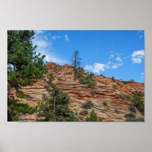 Conifer Trees Growing in Zion National Park, Utah Poster