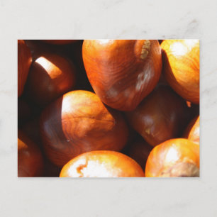 Conkers Postkarte