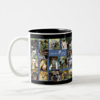 CONKLIN PELZ-FAMILIE IM JANUAR 2011, CONKLIN ZWEIFARBIGE TASSE