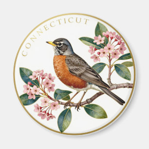 Connecticut Amerikanische Rotdrossel Staat Vogel B Magnet
