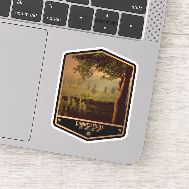 Connecticut Aufkleber (Detail)