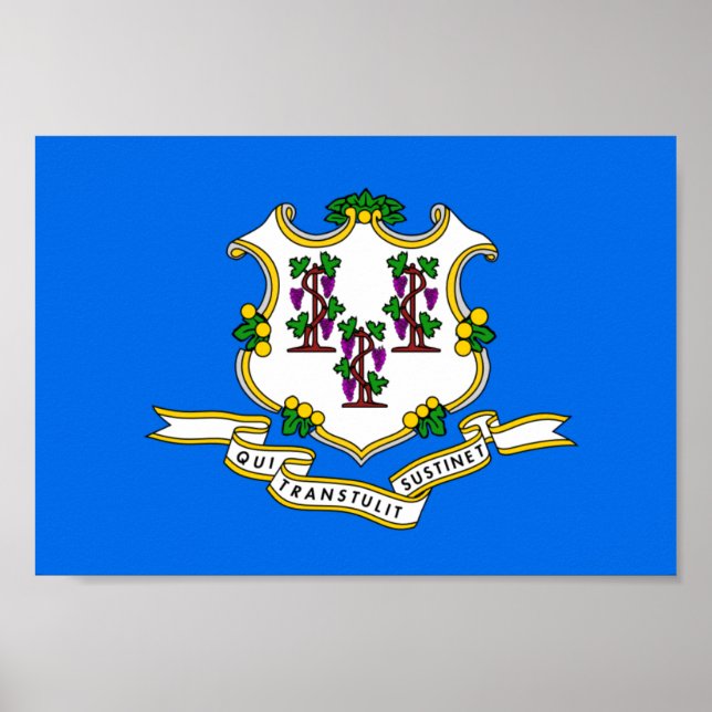 Connecticut-Flag Poster (Vorne)