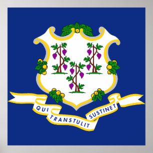 Connecticut-Flagge Poster