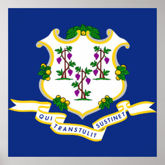 Connecticut-Flagge Poster