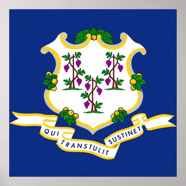 Connecticut-Flagge Poster (Vorne)