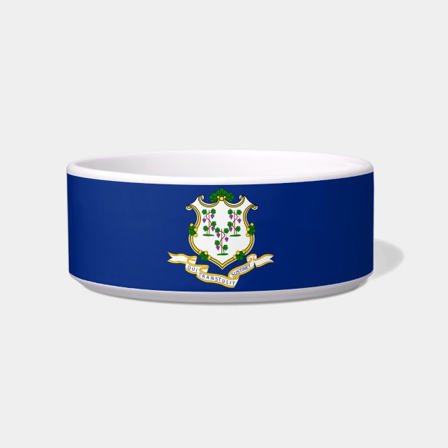 Connecticut-Flagge-Siegel Napf (Vorderseite)
