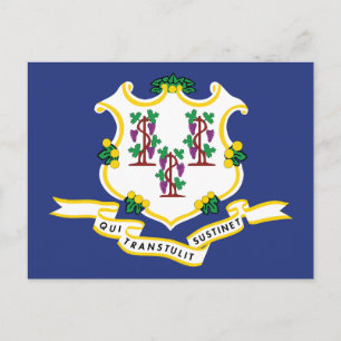 Connecticut-Flaggen-Souvenir Nutmeg-Staatsschild Postkarte