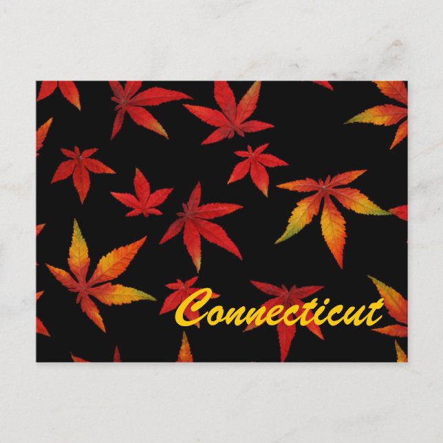 Connecticut Herbstleaves Postkarte (Vorderseite)