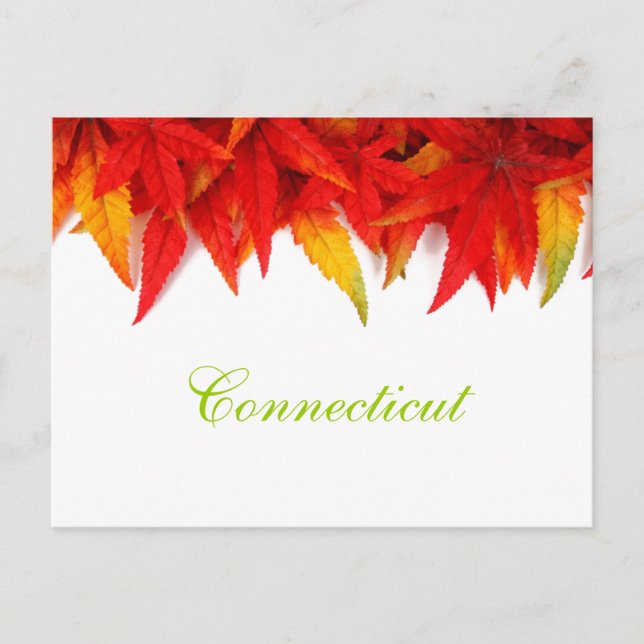 Connecticut Herbstleaves Postkarte (Vorderseite)