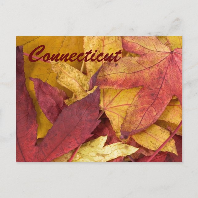 Connecticut Herbstleaves Postkarte (Vorderseite)