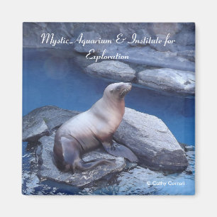 Connecticut-Magnet Magnet