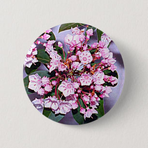 Connecticut Mountain Laurel Button