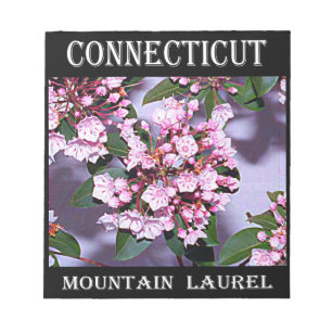 Connecticut Mountain Laurel Notizblock