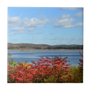 Connecticut River Tile Fliese