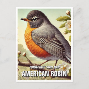 Connecticut Staat Bird American Robin Postkarte