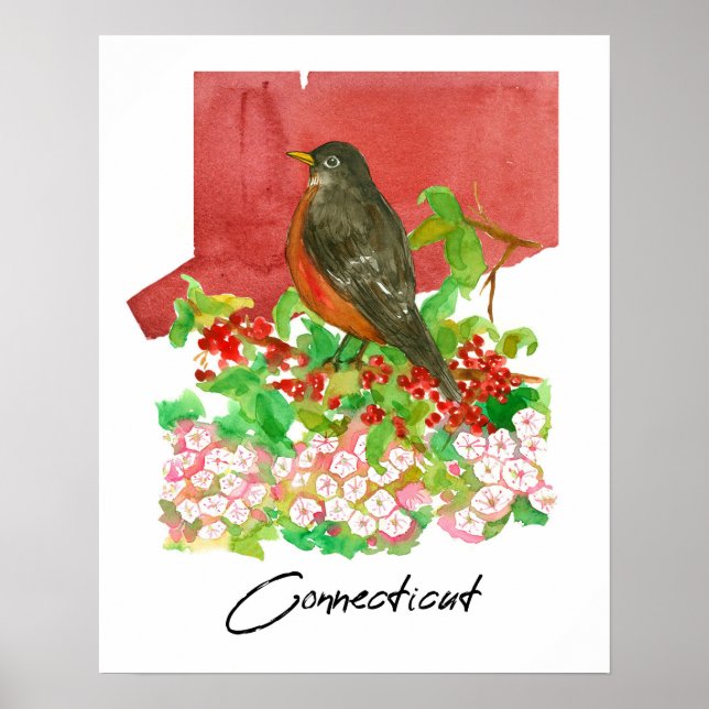 Connecticut State Robin Vogel Rot Aquarell  Poster (Vorne)