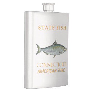 Connecticut-Territorium Fisch Der Amerikanische Ma Flachmann