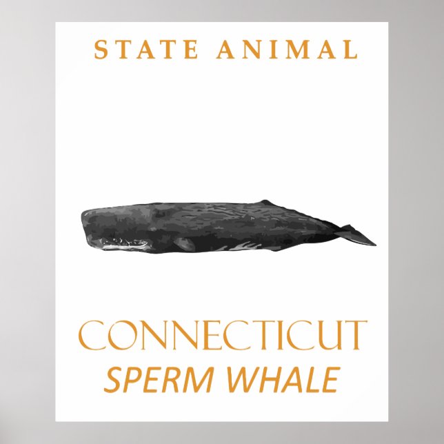 Connecticut-Territorium Tier Physeter macrocephalu Poster (Vorne)