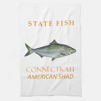 Connecticut Territory Fische Die Amerikanische Mai Geschirrtuch