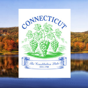 Connecticut The Constitution State Gegr. 1788 Postkarte