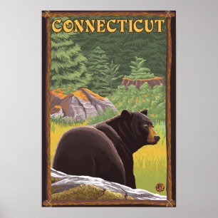 ConnecticutBlack Bär im Wald Poster