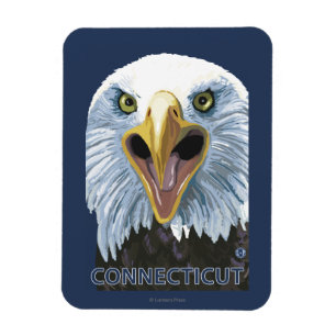 ConnecticutEagle herauf nahes Magnet