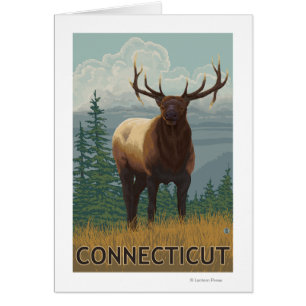 ConnecticutElk-Szene