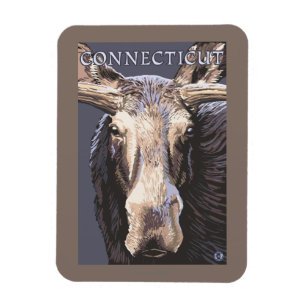 ConnecticutMoose herauf nahes Magnet