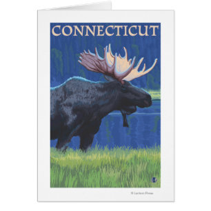 ConnecticutMoose im Mondschein