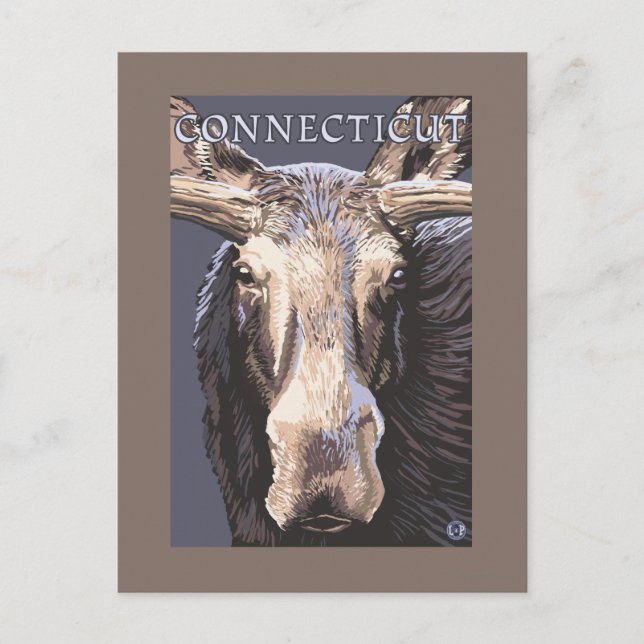 ConnecticutMoose Nah Postkarte (Vorderseite)