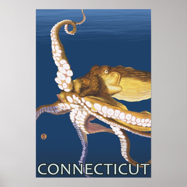 ConnecticutOctopus-Szene Poster (Vorne)
